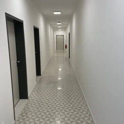 JUWEL IM GRÜNEN - moderne Büroflächen nahe HTL Mödling zu mieten - Erstbezug - Bild 3