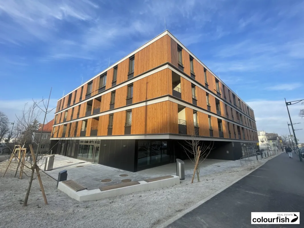 JUWEL IM GRÜNEN - moderne Büroflächen nahe HTL Mödling zu mieten - Erstbezug - Bild 1