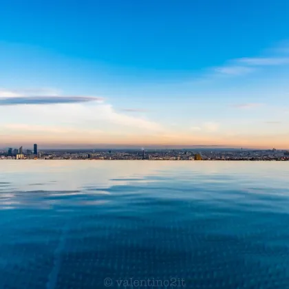 Luxus-Penthouse mit Pool und Wienblick in ruhiger Toplage - Bild 3
