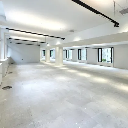 676 m² Bürofläche in bester Lage Mariahilfer Straße / Neubaugasse - ERSTBEZUG - Bild 2