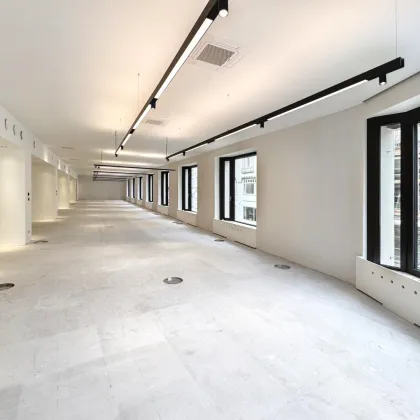 676 m² Bürofläche in bester Lage Mariahilfer Straße / Neubaugasse - ERSTBEZUG - Bild 3