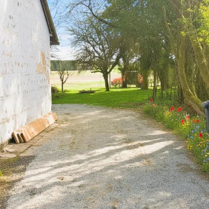 Kleines Haus im Waldviertel wartet auf individuelle Fertigstellung! - Bild 3