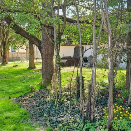 Kleines Haus im Waldviertel wartet auf individuelle Fertigstellung! - Bild 2