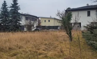 "Dieses große & ebene Grundstück wartet darauf bebaut zu werden"