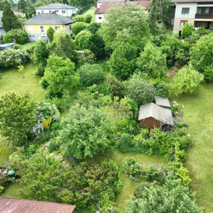 Renovierungsbedürftiges Haus mit idyllischen, großen Garten in Sommerein zu verkaufen! - Bild 2