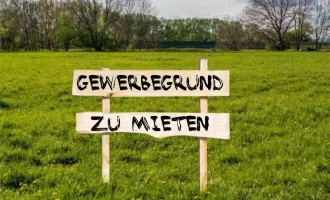 Ebreichsdorf: Betriebsbaugrundstück ca. 4.000 m² (nicht teilbar) in frequenter Lage zu kaufen