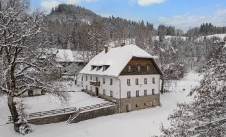 Südkärnten: Sonderobjekt im Naturparadies