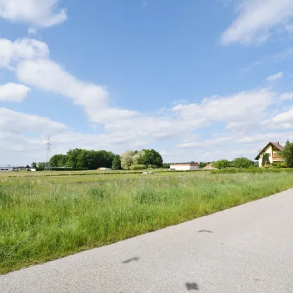 BAUTRÄGER aufgepasst! Baubewilligtes Projekt mit 4 Doppelhaushälften in gefragter Lage! SOFORT loslegen! - Bild 2