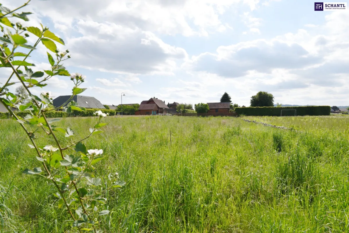 BAUTRÄGER aufgepasst! Baubewilligtes Projekt mit 4 Doppelhaushälften in gefragter Lage! SOFORT loslegen! - Bild 1