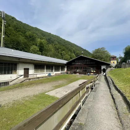 Lagerhalle in Linz - Haselgraben - Bild 2