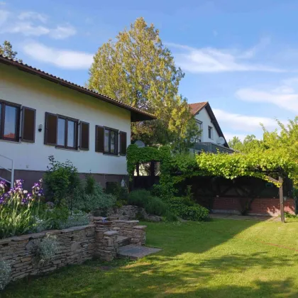 Schönes Einfamilienhaus in ruhiger Lage in Breitstetten - Bild 2