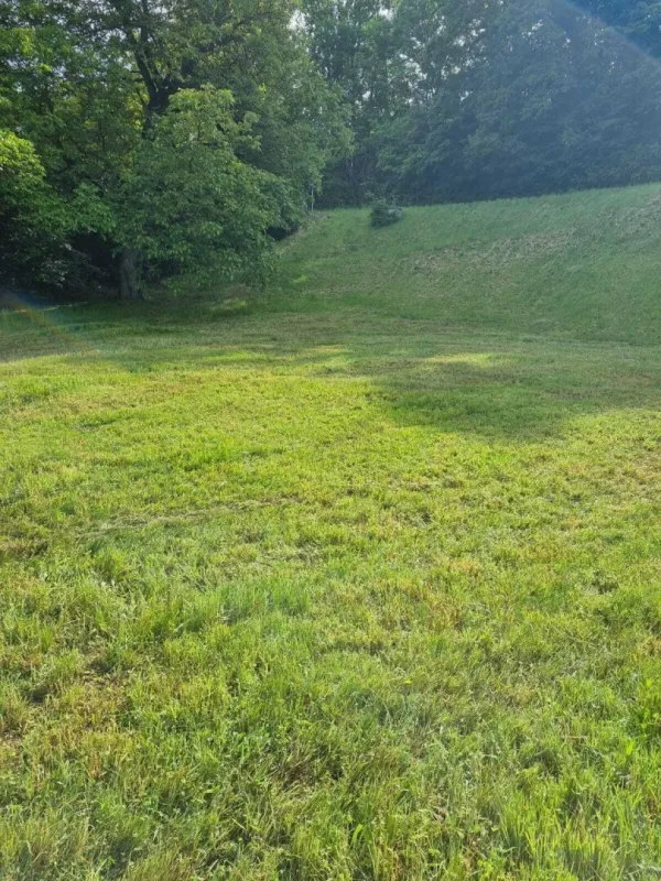 Baugrundstück in 4111 Walding - Bild 1