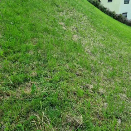 Baugrundstück in 4111 Walding - Bild 2