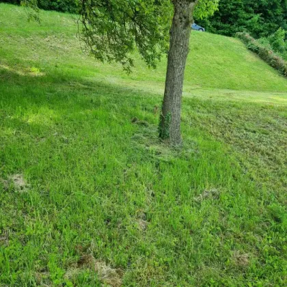 Baugrundstück in 4111 Walding - Bild 3