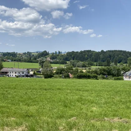 Einfamilienhausersatz- Eigenheim macht glücklich!  Erstbezug in Vöcklamarkt - Haus B - Bild 3