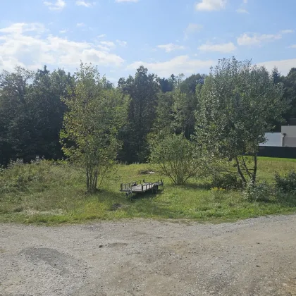 Sonniger ca. 805m² großer Baugrund mit Süd/ West- Ausrichtung in Fernitz- Mellach, nur 10,8 Km von Graz entfernt - Bild 2