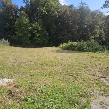 Sonniger ca. 805m² großer Baugrund mit Süd/ West- Ausrichtung in Fernitz- Mellach, nur 10,8 Km von Graz entfernt - Bild 3