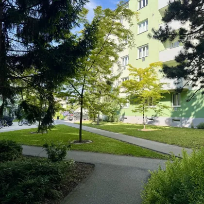Jetzt Küchenbonus sichern! € 5.000 vom Abgeber für Ihre neue Küche – renovierte 3-Zimmer-Eigentumswohnung mit 101 m² in Wiener Neustadt - Bild 3