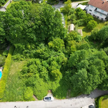 Baugrundstück in Graz-St. Peter – Ruhelage am Ende einer Sackgasse - Bild 3
