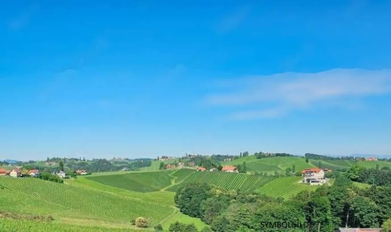 SÜDSTEIERMARK: traumhafte Alleinlage, Rundumblick, Wohnen, Weinbau, Wald, Teich - Bild 1