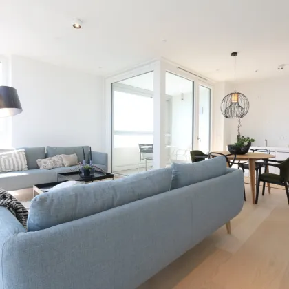 VIENNA TWENTYTWO – Architektur, Lebensqualität und urbane Vielfalt vereint - Bild 3