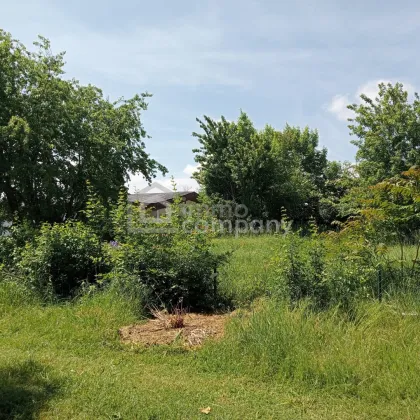 Grundstück am Zicksee im Burgenland - Bild 2