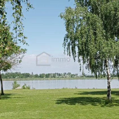 Grundstück am Zicksee im Burgenland - Bild 3