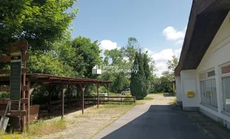 Grundstück am Zicksee im Burgenland