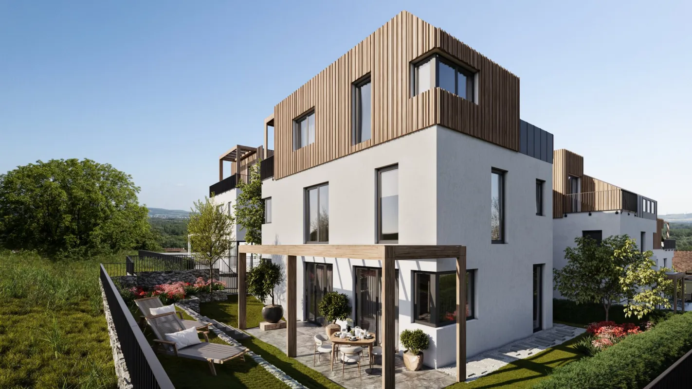 DEIN WEINGARTEN - Grünblick in den Weinbergen - Bild 1