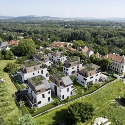 DEIN WEINGARTEN - Grünblick in den Weinbergen - Bild 2
