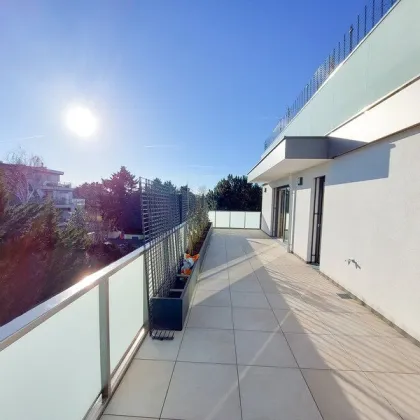 Terrassentraum mit über 50m² Terrassenfläche zum Verlieben - Provisionsfrei! - Bild 3