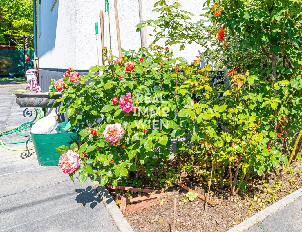 Wohlfühloase in 1220 Wien: Gepflegtes Haus mit Garten, Terrasse und viel Komfort! - Bild 1