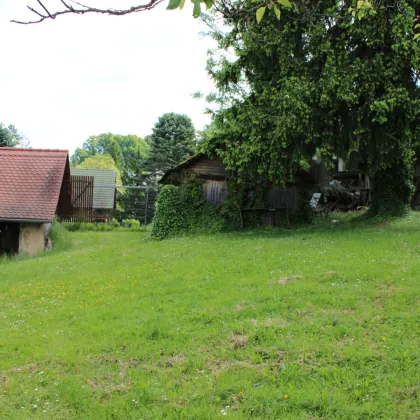 GRUNDSTÜCK MIT ALTBESTAND  IN GRAZER TOP-LAGE - PETERSBERGEN - ST.PETER - Bild 3