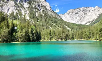 Steiermark: Raritäten am Immobilienmarkt – Wohnen, wo andere staunen!