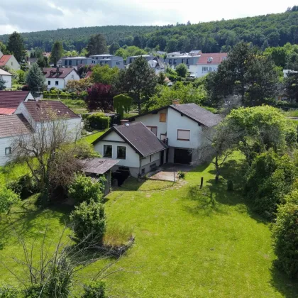 Wohnhaus mit ca. 3.000 m² großem Grundstück und Obstgarten zu verkaufen - Bild 2