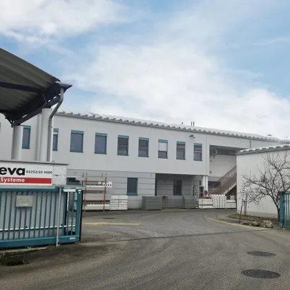 Pfaffstätten: Gewerbeliegenschaft mit Büro und Hallen zu mieten - Bild 3