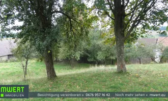 Grundstück 3.386 m² mit Abrisshaus