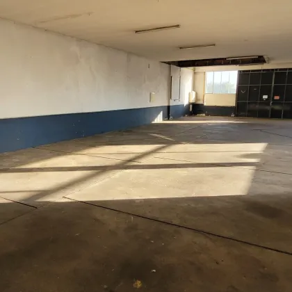 275 m² Lagerhalle - Gänserndorf - Hauptstraße - Bild 2