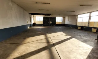 275 m² Lagerhalle - Gänserndorf - Hauptstraße