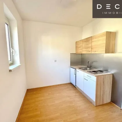 | HELLES & SONNIGES 1-ZIMMER-APARTMENT | 2. OBERGESCHOSSS | IHR NEUES ZUHAUSE | IM GRÜNEN UND DOCH IN DER STADT - Bild 2