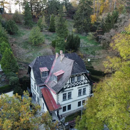 Außergewöhnliche Villa in absolut ruhiger Waldrandlage I Rund um Natur pur nahe Lainzer Tiergarten I Ausbauen+sanieren - Bild 3
