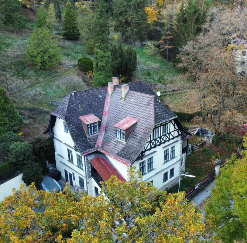Außergewöhnliche Villa in absolut ruhiger Waldrandlage I Rund um Natur pur nahe Lainzer Tiergarten I Ausbauen+sanieren - Bild 1