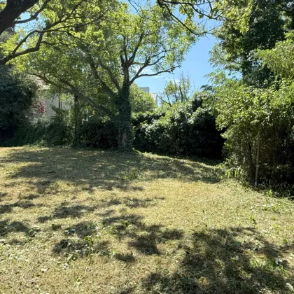 Wo Stadtmenschen Wurzeln schlagen – Gartenidylle zum Pachten! - Bild 3
