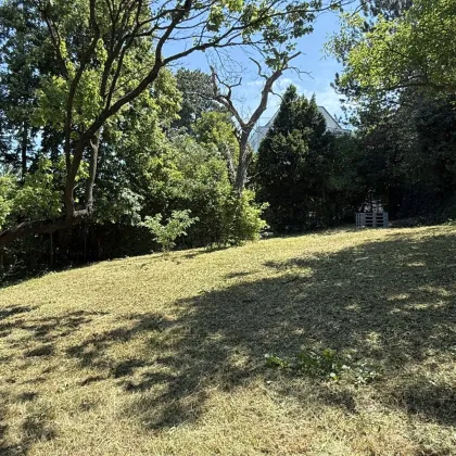 Wo Stadtmenschen Wurzeln schlagen – Gartenidylle zum Pachten! - Bild 2