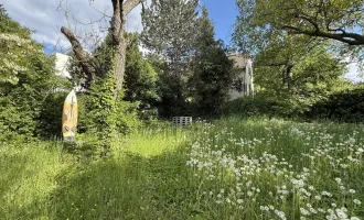 Wo Stadtmenschen Wurzeln schlagen – Gartenidylle zum Pachten!