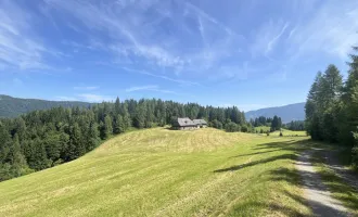 ALLEINLAGE - historisches Bauernhaus mit Panorama