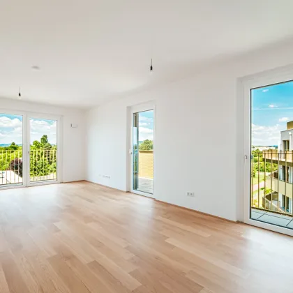 Wald – Wiese – Bach – Ihre Wohnoase zum Entspannen mit toller Infrastruktur - Bild 3