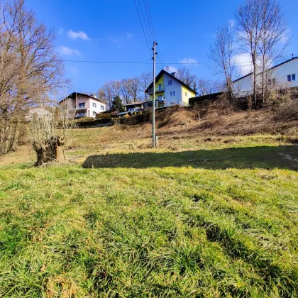 Vielseitiges Grundstücksensemble in Lambach: Bauland, Freiland & Fischzucht. - Bild 2