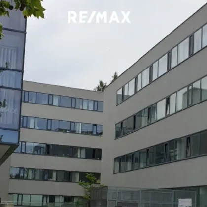 Gewerbeobjekt in Vöcklabruck zu mieten - Bild 3