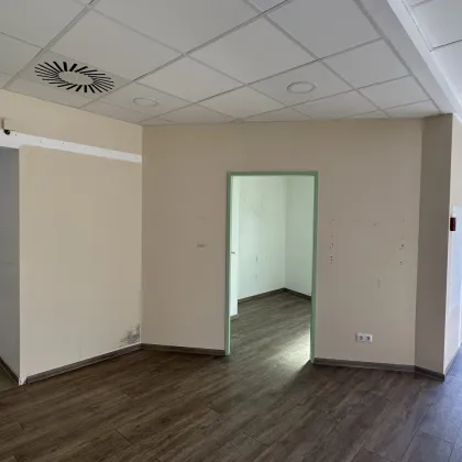 branchenfreies Geschäftslokal am Wiener Stadtrand – perfekt für Ihre Ideen! | ZELLMANN IMMOBILIEN - Bild 3